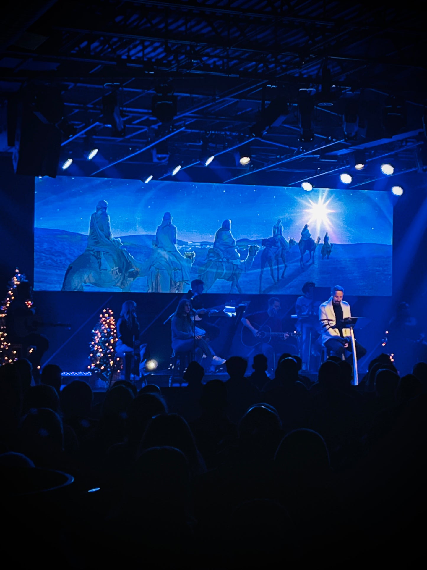 DELUXE AUDIO - The Christmas Story for Churches and Organizations